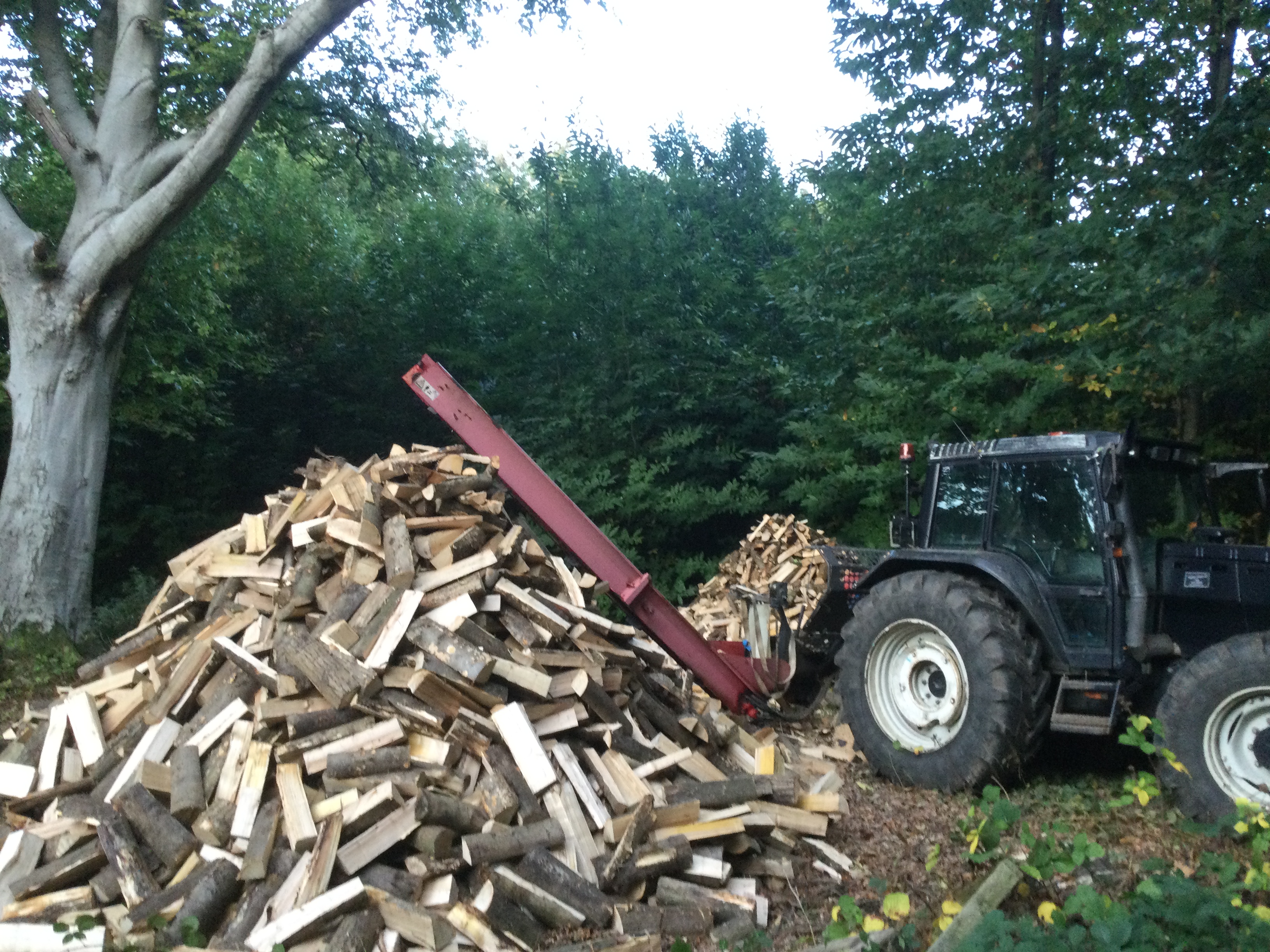 Indica Forestry work