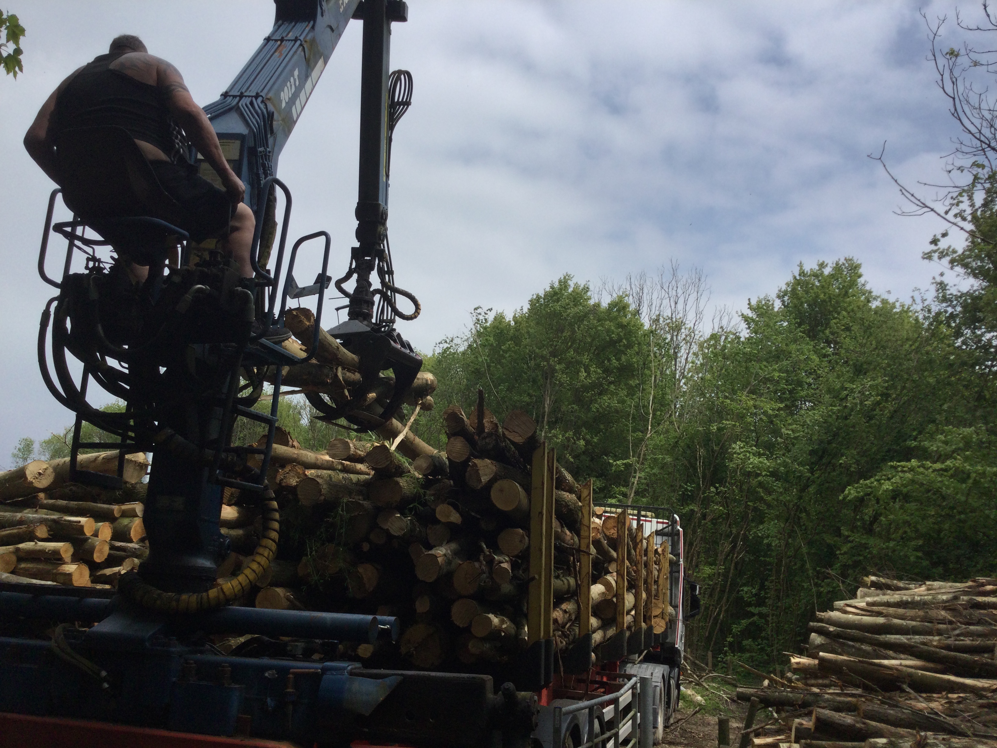 Indica Forestry work