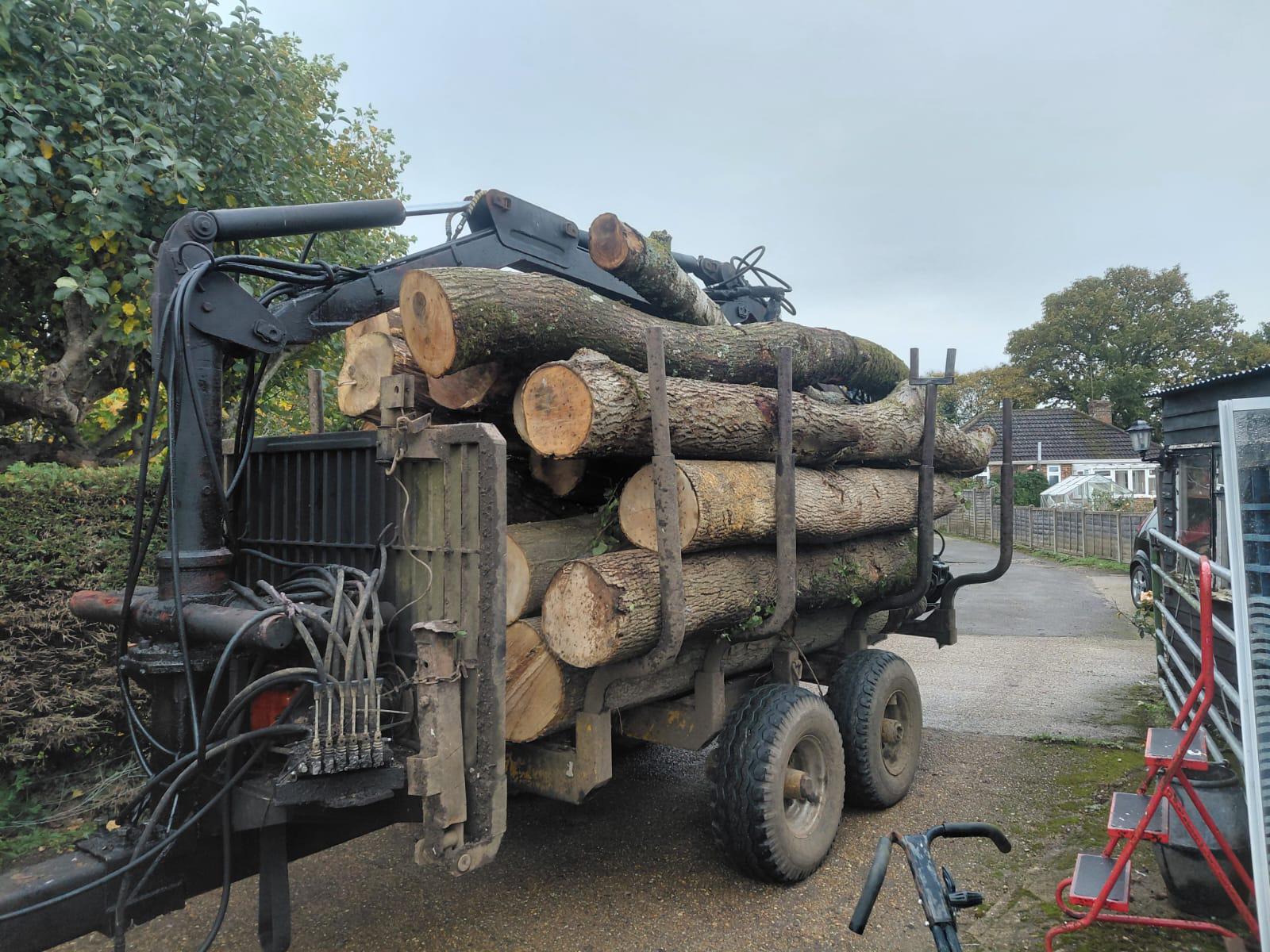 Indica Forestry work