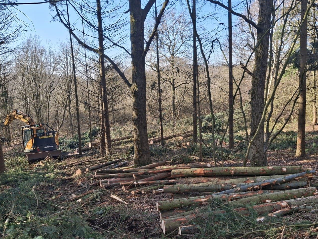 Indica Forestry work