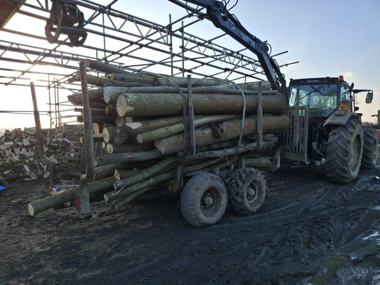 Indica Forestry work