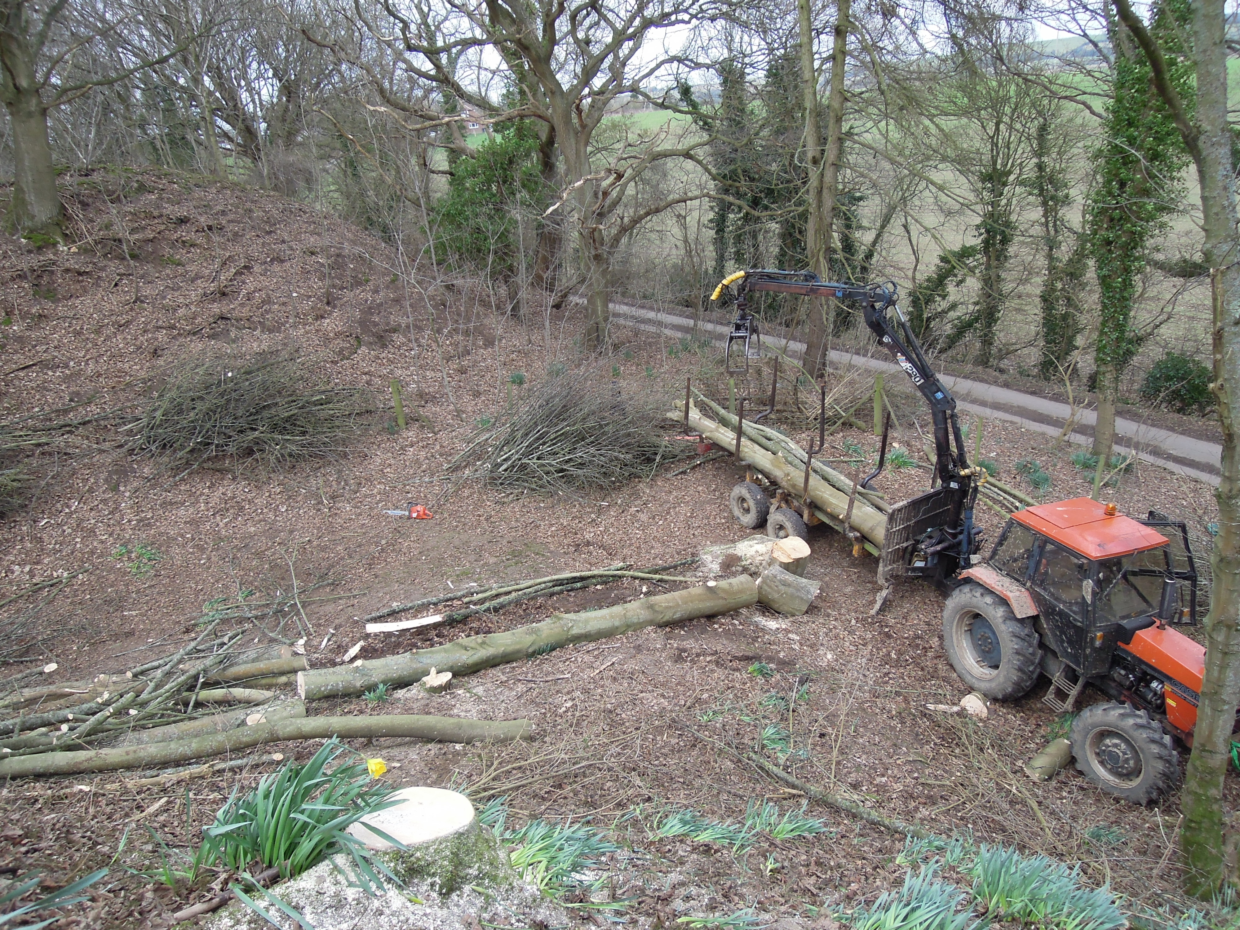 Indica Forestry work