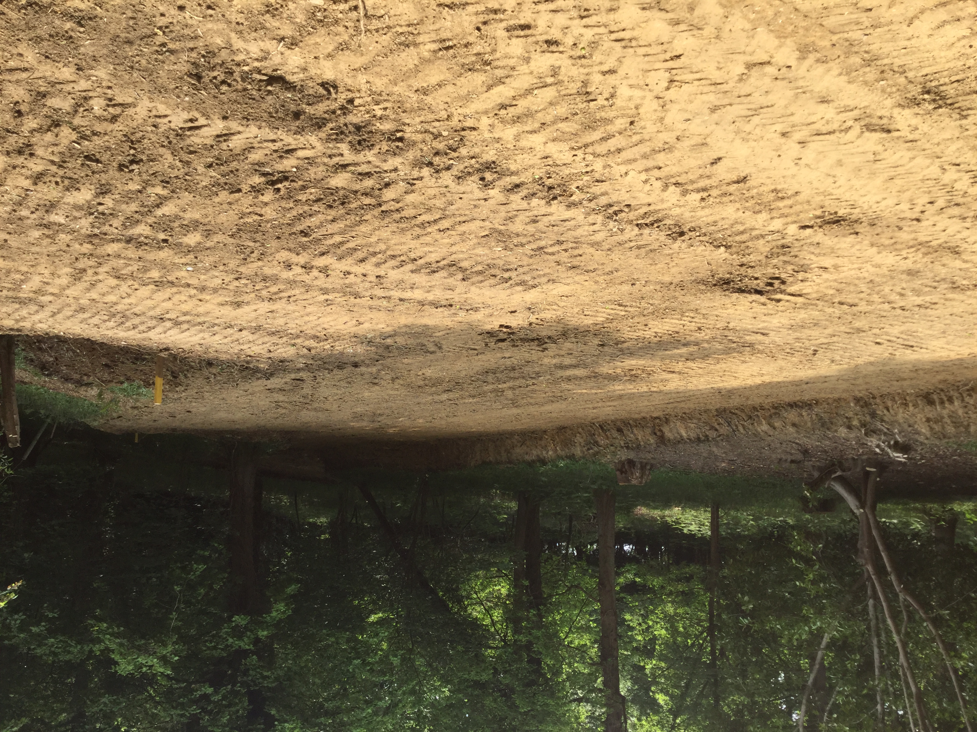 Indica Forestry work