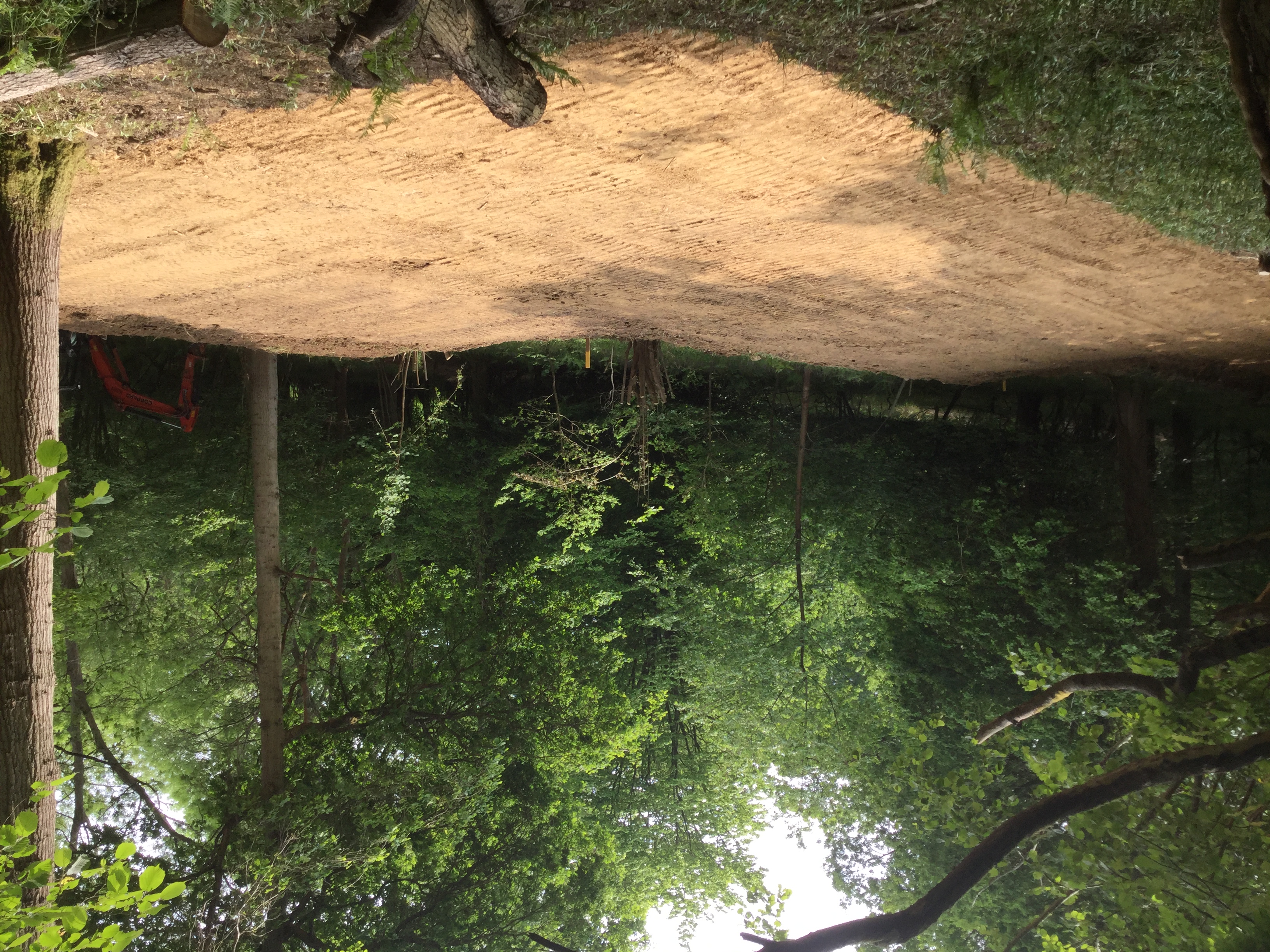 Indica Forestry work