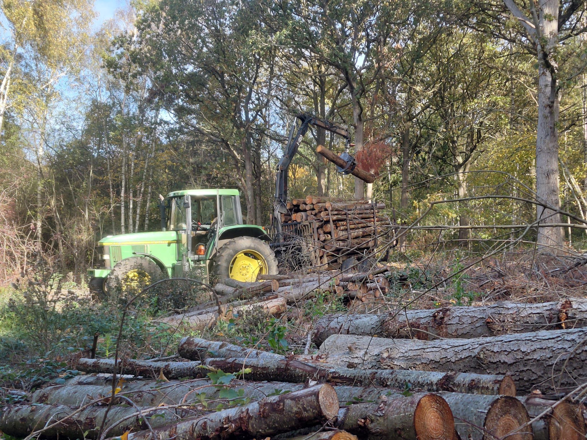 Indica Forestry work