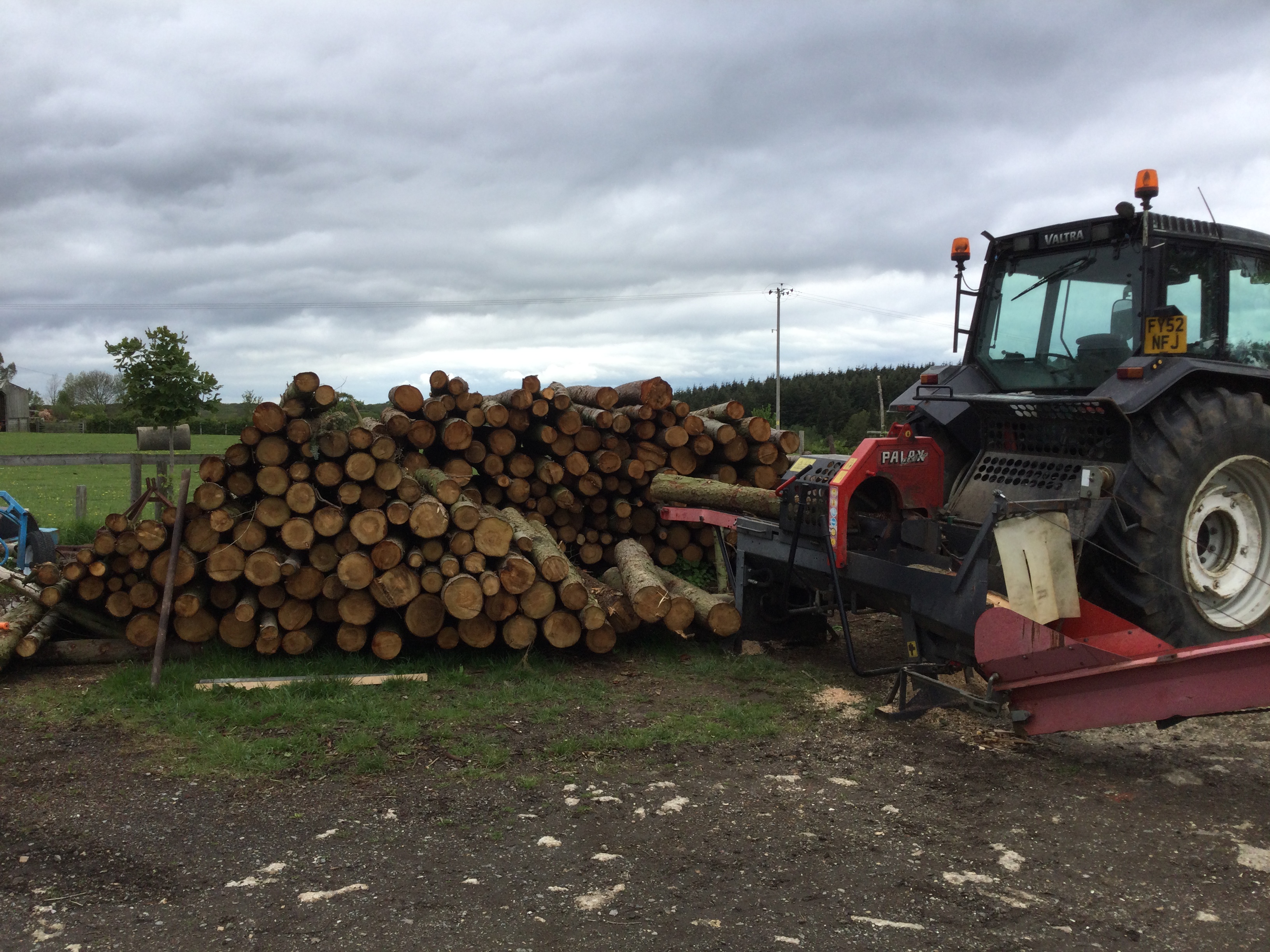 Indica Forestry work