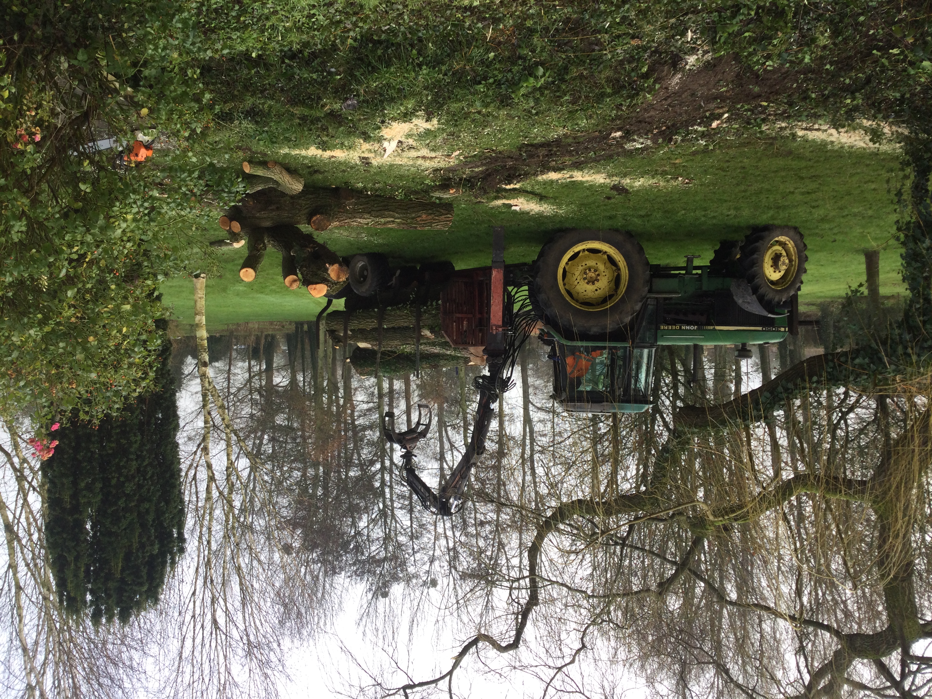 Indica Forestry work