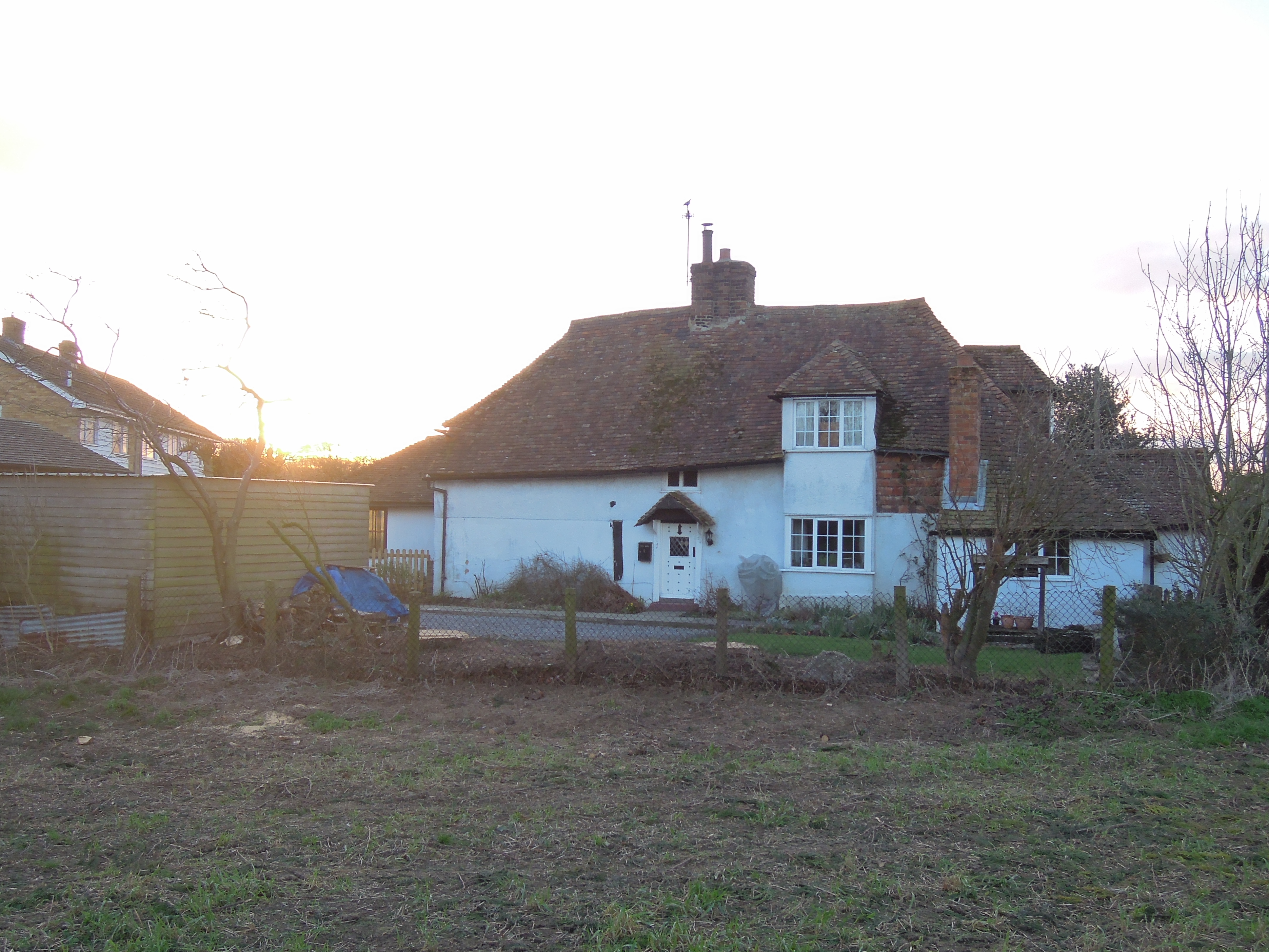 Indica Forestry work