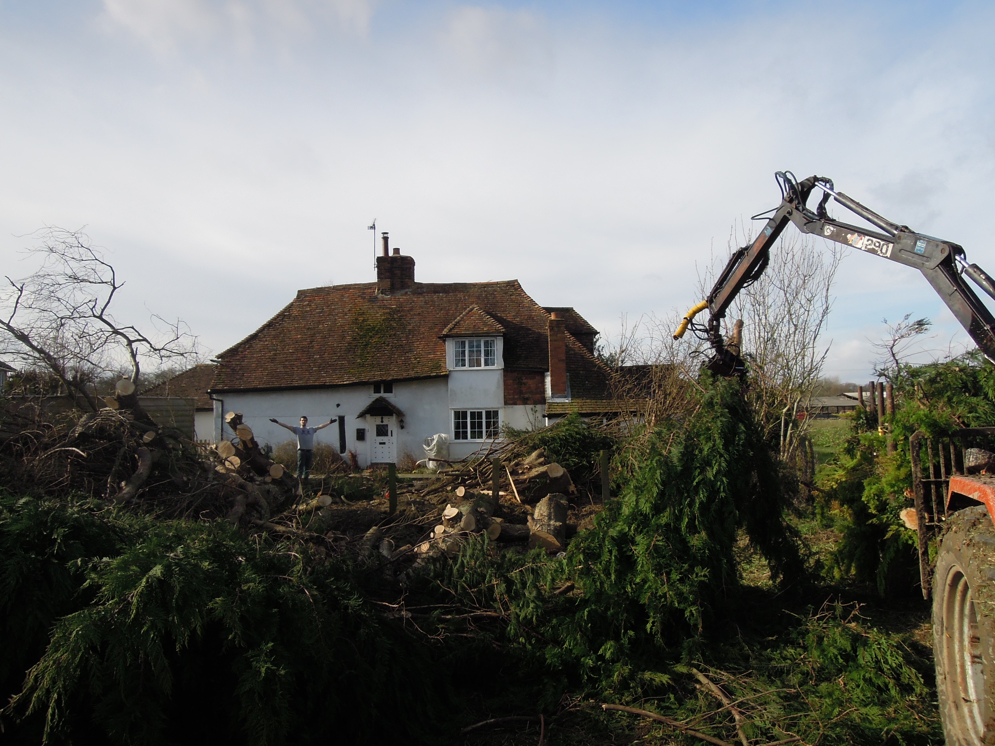 Indica Forestry work